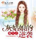 灰姑娘之路txt