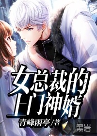 女总裁的超级神婿