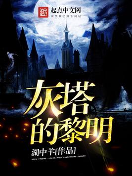 灰塔笔记完整版阅读