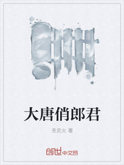 大唐小货郎全文免费阅读