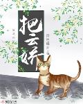 把云娇秦南风的身份