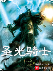 圣光骑士小说