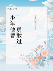 少年他曾勇敢过小说全集免费下载