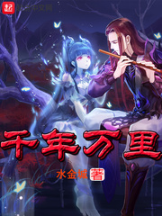 水金城小说作者是谁
