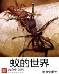 蚂蚁全文阅读
