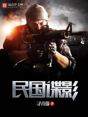 民国谍影的小说