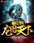 三国之之龙图天下