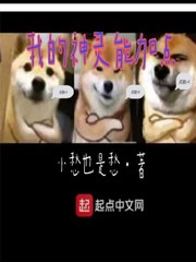 我的神灵分身txt