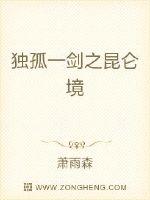 独孤一剑之昆仑境txt小说免费阅读全文