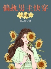 美人豆小说作者简介