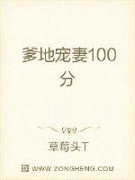 爹地宠妻100分小说免费阅读下载