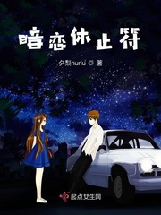 暗恋休止符txt小说免费阅读全文