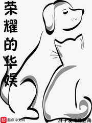 小说荣耀的华娱