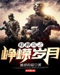特种兵之峥嵘岁月小说免费阅读