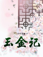 玉金记小说全文免费阅读无弹窗