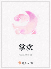 掌欢小说全文免费阅读百度云