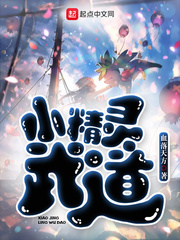 小精灵系列小说