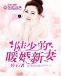 陆少的暖婚新妻免费观看