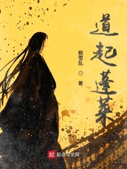 雪枫写的小说