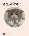 做个偶像好难类似小说