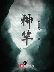 神相赖布衣小说全集