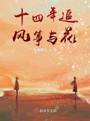 追风筝视频