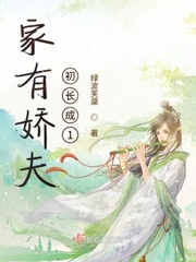 家有娇夫百度云盘