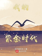 我的紫金时代小说全文免费阅读笔趣阁