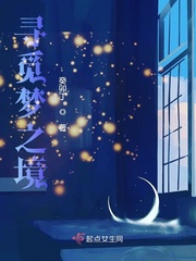 寻觅梦之境txt小说免费阅读无弹窗