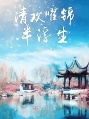 清欢浮生小说