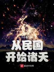从民国开始的小说