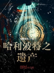 哈利波特遗产配置