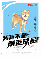 我真不是角色球员sodu
