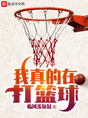 我真的在打篮球小说全本免费阅读