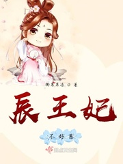 辰王宠妃忱上书
