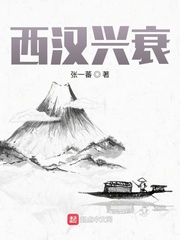 西汉兴衰小说在线阅读全文