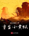 重生小黄蚁小说全文免费阅读