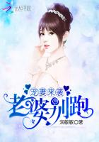 老婆宠宠我吧完整版在线阅读