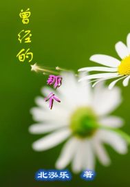 曾经的那个小说txt免费阅读