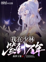 森罗万象thbwiki