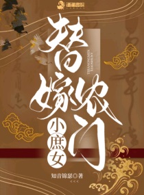 替嫁小妾