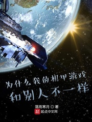 为什么我的机甲游戏和别人不一样text下载