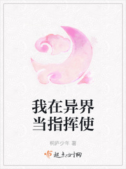 我在异界当指挥使小说全文免费阅读