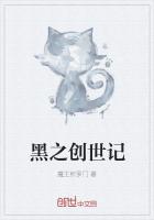 黑之创世记小说全文免费阅读无弹窗