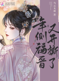 年侧福晋又开撕了小说
