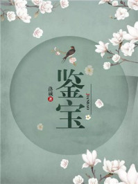 鉴宝陈友好txt小说免费阅读