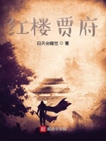 红楼梦