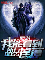 我能看见所有boss掉落 小说