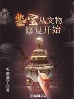 鉴宝从文物修复开始txt下载八零