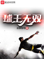球王之路 小说